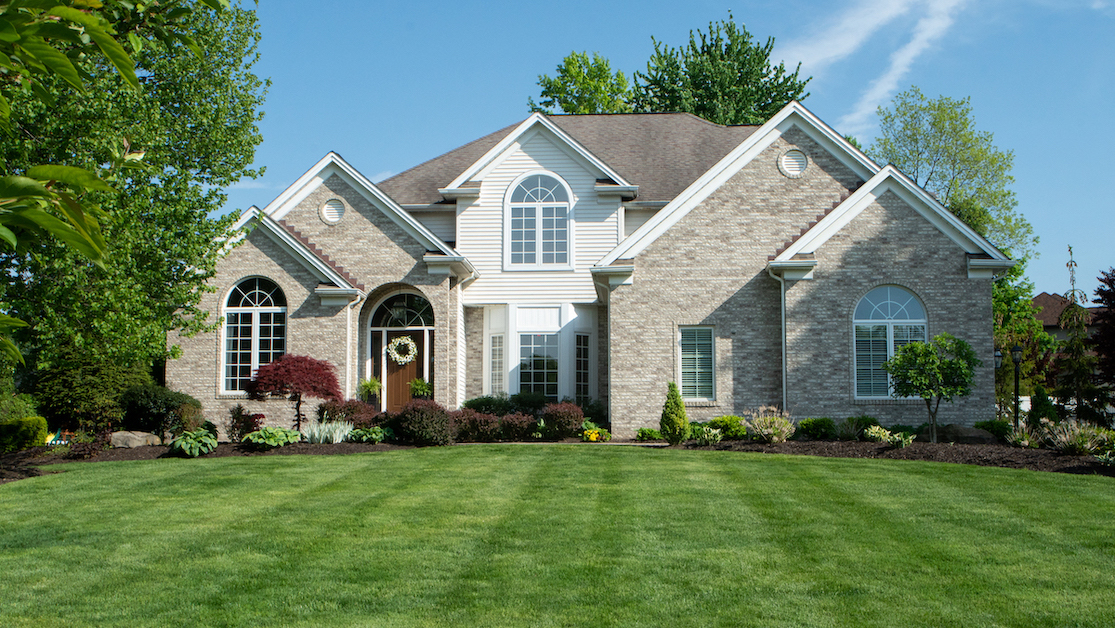 beautiful lawn in front yard 